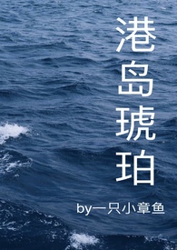 港岛赏日落小说