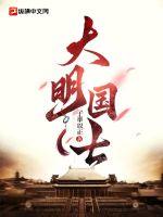 大明国师西湖遇雨txt全文下载