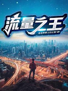 流量至上的时代