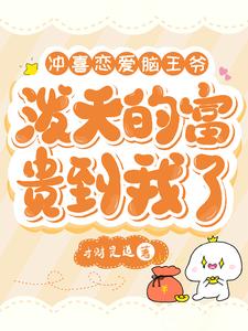 冲喜小说讲的什么